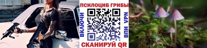 закладка  Кашин  Галлюциногенные грибы Cubensis 